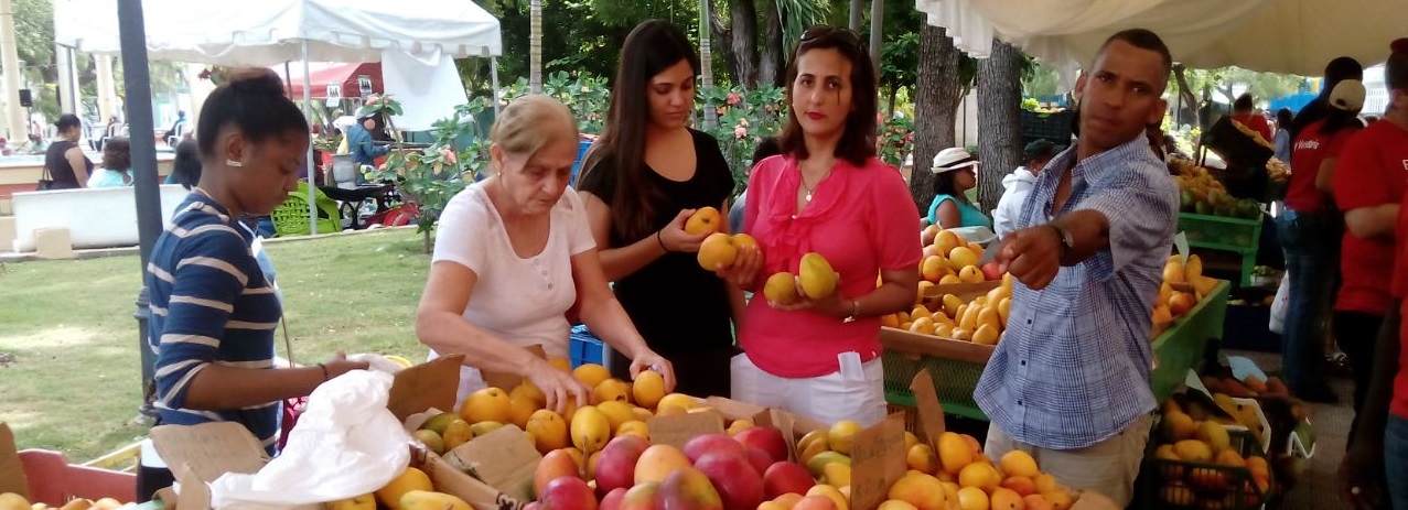  Sabor y aroma de Expo Mango nos resume las cifras de exportaciones recientes del producto