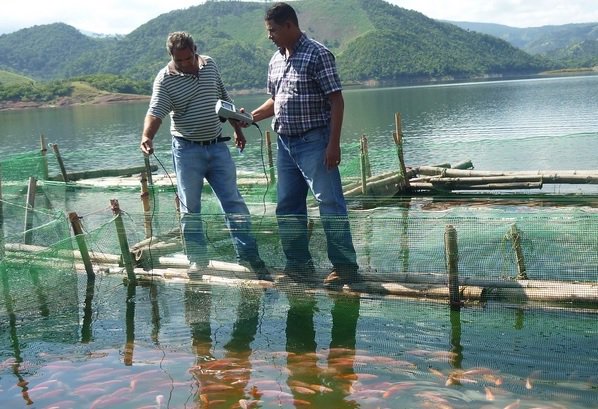  Idiaf estudiará los sistemas de producción acuícola del país para contribuir a mejorar su explotación racional y rentabilidad