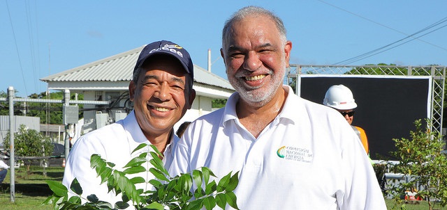  Inicia programa de siembra de un millón de árboles de caoba en Peravia y Punta Catalina
