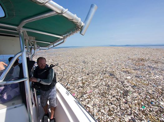  Descubren en el Caribe un estremecedor «mar de plástico y poliestireno»