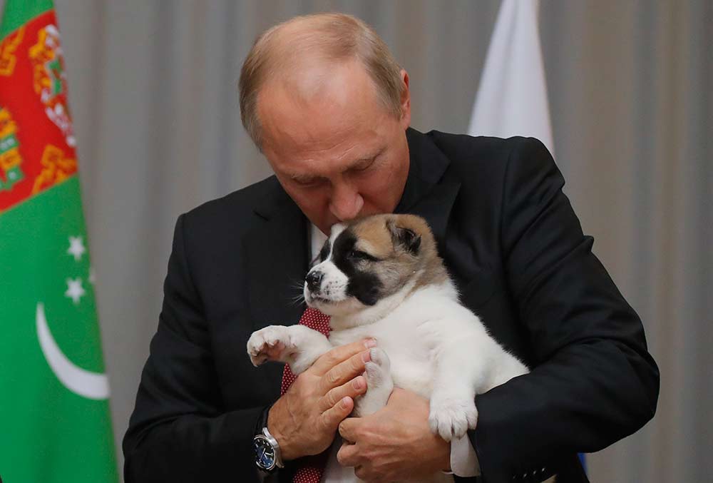  Poderoso Putin expresa ternura a perro que recibió de regalo