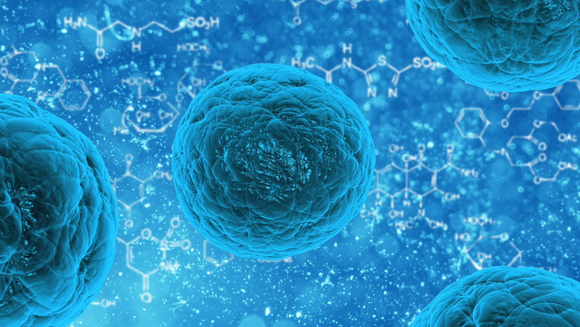  «Como un milagro»: Científicos sorprendidos por un nuevo método para rejuvenecer las células humanas