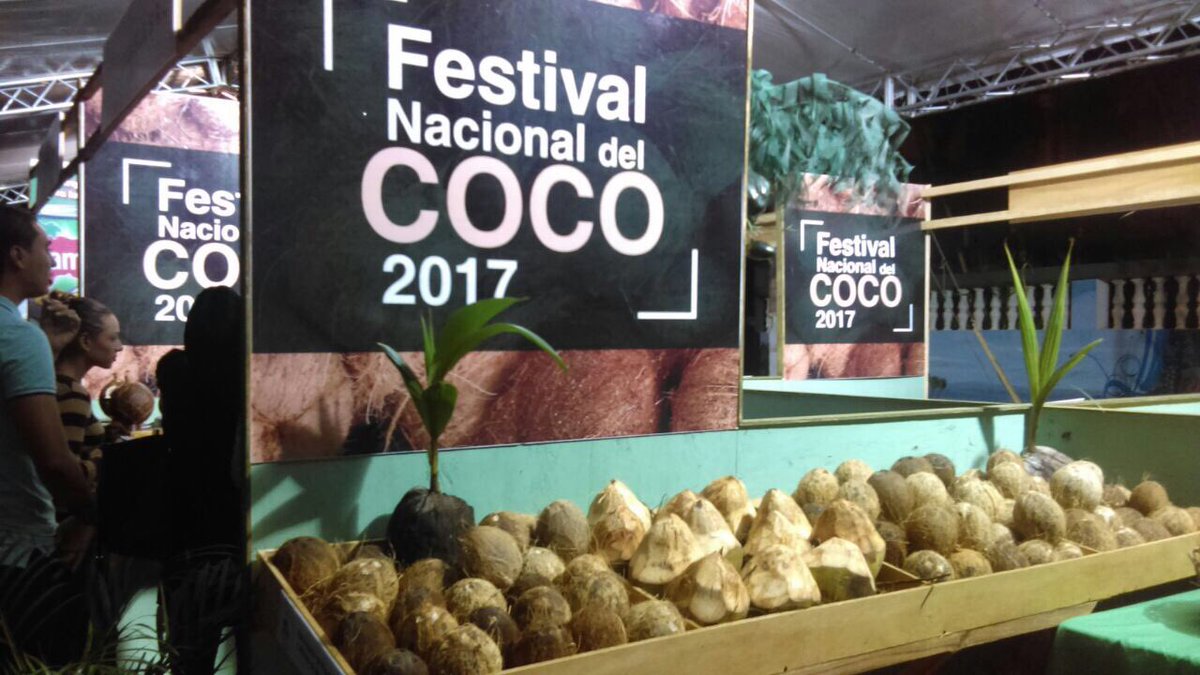  Desde este jueves y hasta el domingo El Festival del Coco en Nagua, con actividades culturales, artísticas, gastronómicas y deportivas