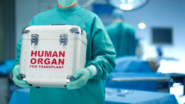  Holanda aprueba ley para que todos sus ciudadanos sean donantes de órganos