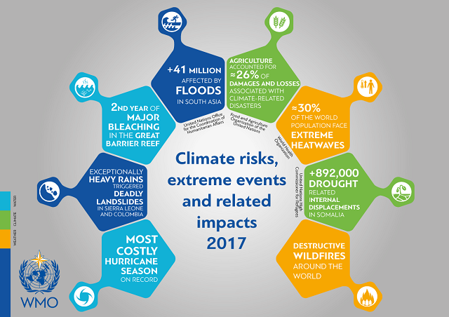  Estado del clima en 2017: condiciones meteorológicas extremas y efectos devastadores