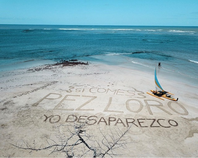  60 playas dominicanas hablan por la preservación del Pez Loro *Video AplatanaoNews