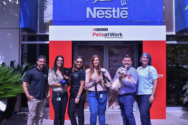  Celebran día mundial Nestlé Purina Pets at Work que exhorta la convivencia entre mascotas y sus dueños en el trabajo