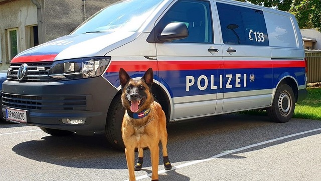  Perros con zapatos en Austria, Calor y Granizo en Italia, Asfalto derritiéndose en Holanda, son algunos de los resultados de las altas temperaturas en Europa