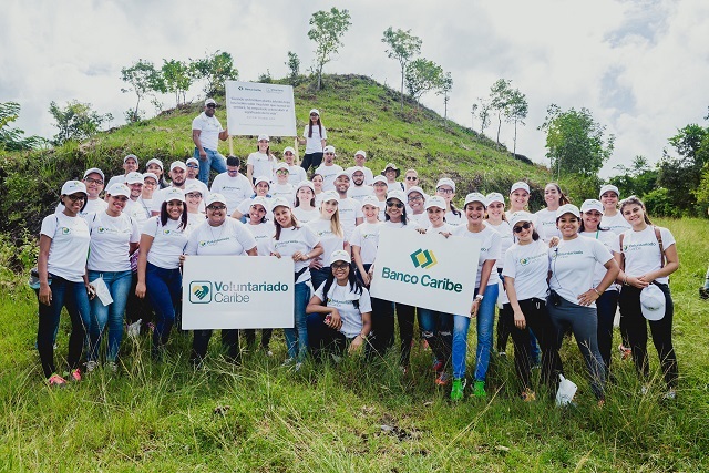 En la Séptima Jornada de Reforestación de Banco Caribe plantaron más de mil quinientos árboles de Caoba Criolla
