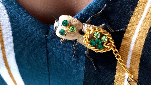  Los Makech: Joyas con escarabajos vivos, la polémica moda que llega desde Yucatán
