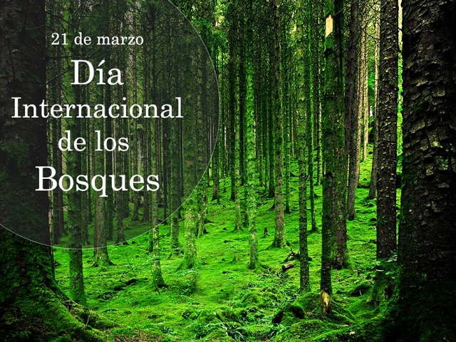  Hoy es el Día Internacional de los Bosques