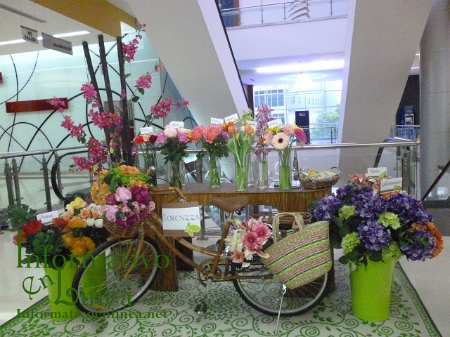  Novo-Centro realiza el 5to Festival de las Flores