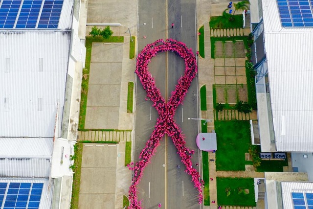  Vuelven a conformar gran lazo humano contra el cáncer de mama de la Corporación Zona Franca Santiago