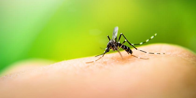  SNS continúa capacitación sobre manejo de Dengue