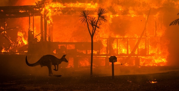  Incendios forestales en Australia: «Nuestro futuro está en juego