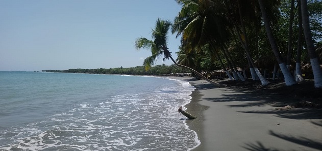  Playa Palenque en Viernes Santo: desierta, sin jolgorio, sólo el rumor del mar, el canto de las aves y silencio *Video