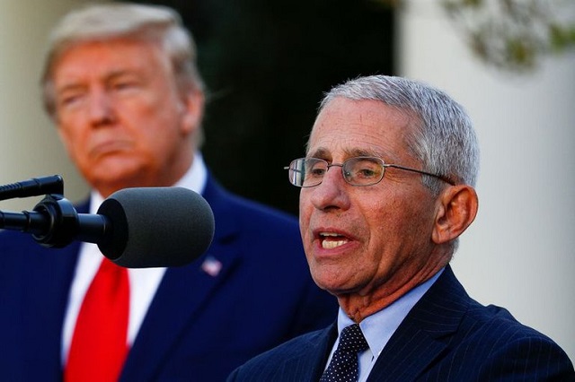  Epidemiólogo de la Casa Blanca Anthony Fauci asegura que la vacuna contra el coronavirus podría estar disponible en EEUU a fines de noviembre