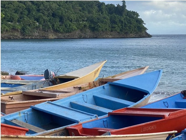   Revelan estudio Discapacidad en Pescadores