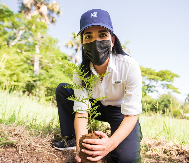  Popular realiza jornada de reforestación en San José de las Matas