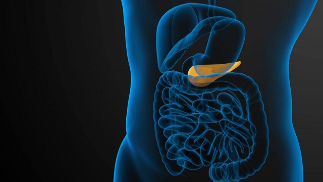  Una de cada seis personas con cáncer de páncreas tiene mutaciones genéticas hereditarias