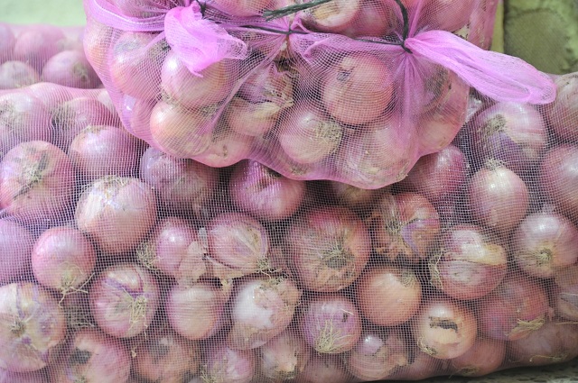  Ministerio de Agricultura garantiza apoyo a productores de cebolla a nivel nacional