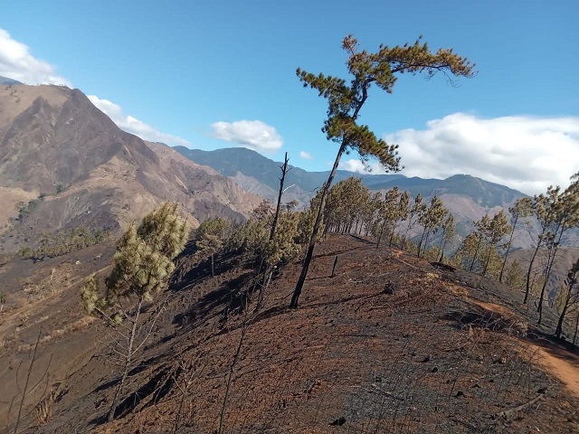  Ministerio de Medio Ambiente iniciará proceso de restauración por incendio en el Parque Nacional José del Carmen Ramírez