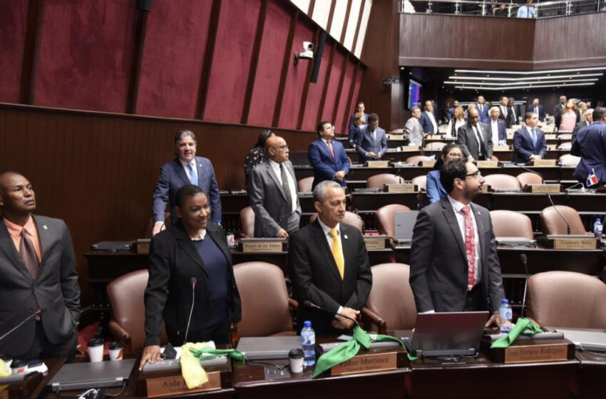  Diputados votan de pie para convertir en ley proyecto de atención al autismo