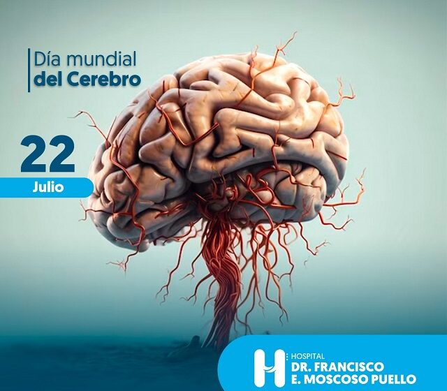  En el Día Mundial del Cerebro neuróloga Moscoso Puello llama a su cuidado