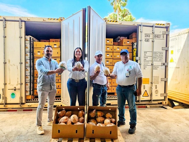 Estados Unidos recibe primeros dos contenedores de coco de agua desde República Dominicana
