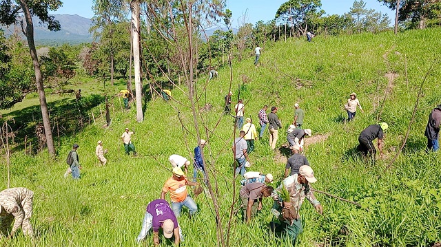  600 mil árboles han sido plantados en Dajabón y Restauración