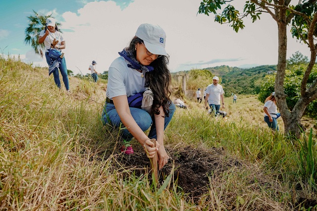  Voluntarios del Banco Popular realizan reforestación en La Sierra