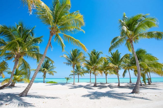  Lugar Aplatanao para visitar el Fin de Semana: Punta Cana