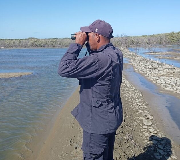  Medio Ambiente retira más de 200 trampas para flamencos en Estero Balsa