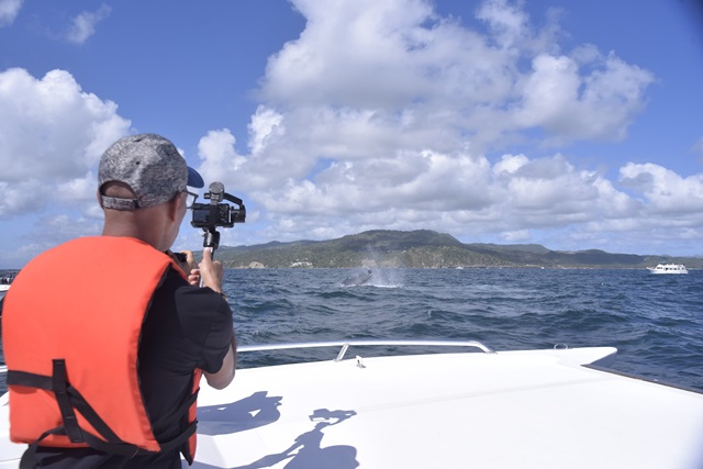  Ministerio de Medio Ambiente: Protección de las ballenas jorobadas en jornada con periodistas