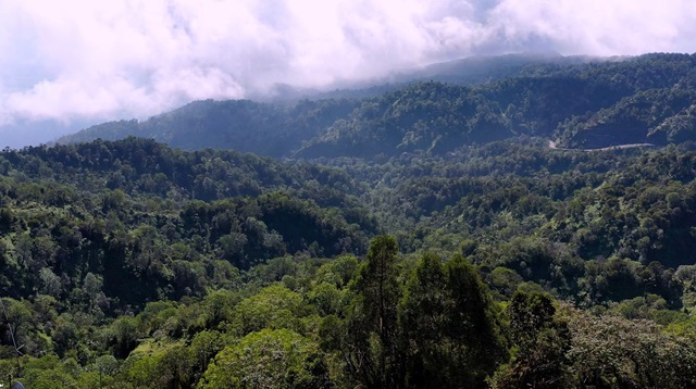  Medio Ambiente completa proceso de socialización proyecto Reserva de Biosfera Madre de las Aguas