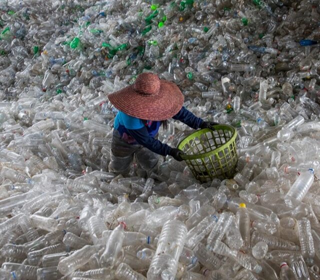  Día Mundial del Reciclaje: ¿por qué se celebra hoy, 17 de mayo?