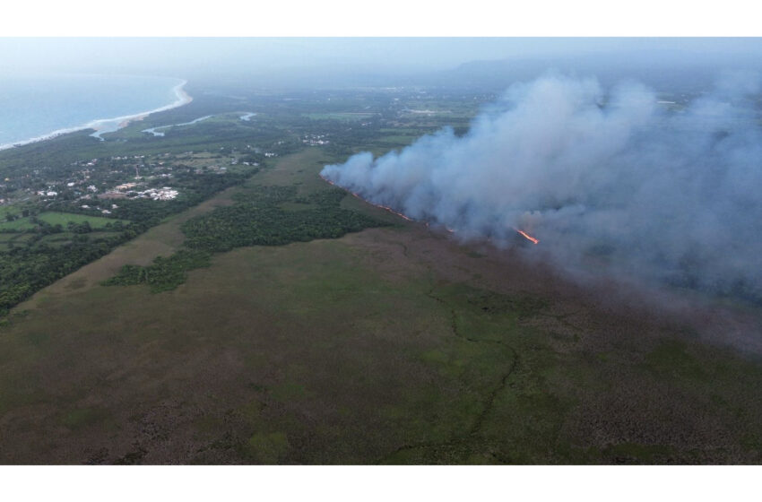 Guardaparques y bomberos forestales combaten incendio en lagunas Cabarete y Goleta