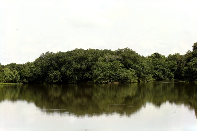  Humedales del Ozama: entre la belleza natural y las amenazas medioambientales