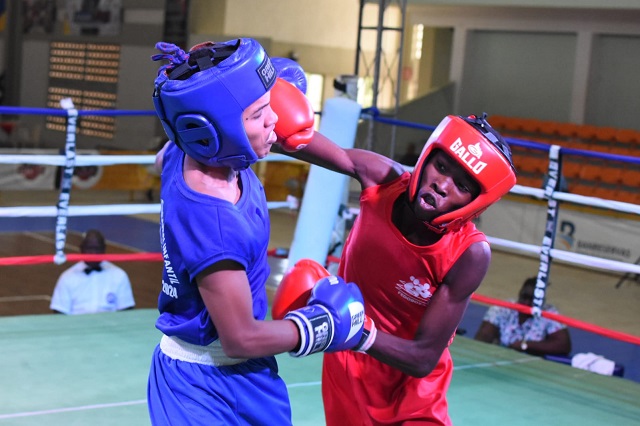  Este, Sur y DN dominan clasificaciones boxeo infantil