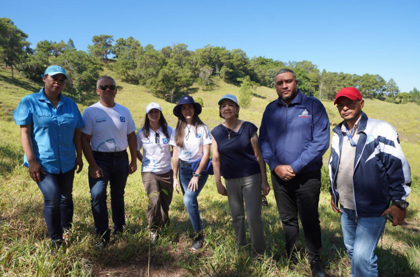  Voluntarios de Banco Popular siembran 4,300 árboles en Plan Sierra