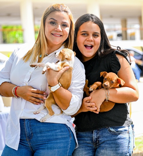  Logran adopción de 42 perros en Santiago