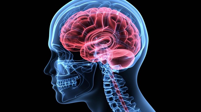  Cómo funciona la inteligencia artificial que puede detectar Alzheimer y otras demencias con una sola imagen