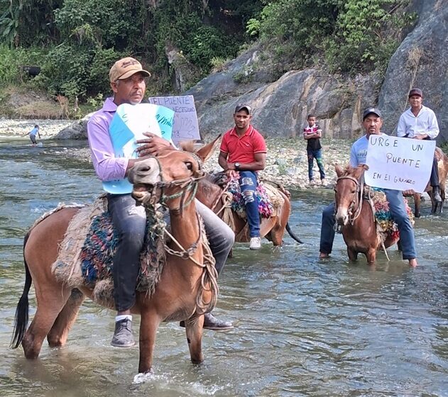  Comunitarios de la zona montañosa de Padre Las Casas hacen cadena humana para exigir atención del gobierno