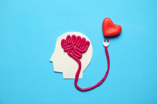  Vínculo entre el cerebro y el corazón impacta directamente en la salud