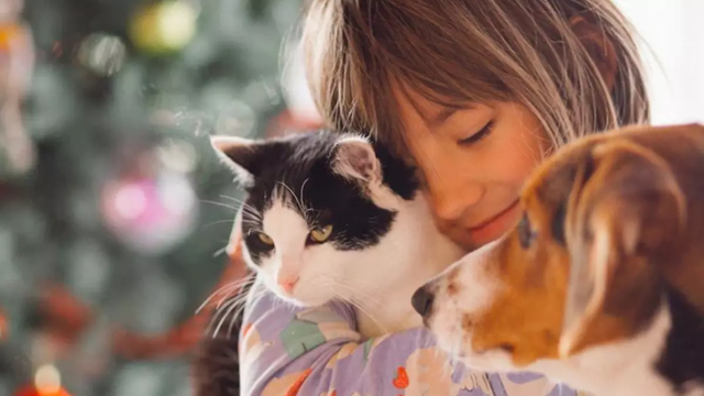  Día Mundial de los Animales: ¿por qué se celebra el 4 de octubre?