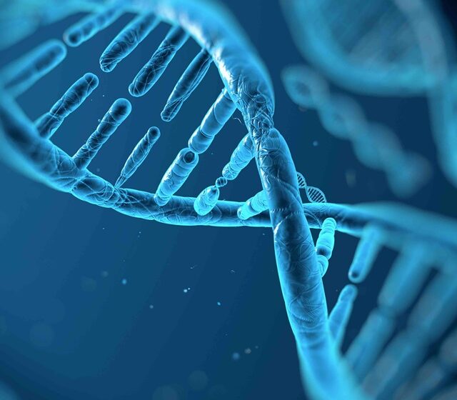  28 de febrero Día Mundial de Enfermedades Raras
