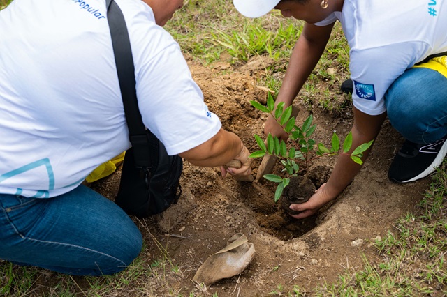  Voluntariado Popular del Banco Popular reforesta junto a periodistas y comunicadores de la Zona Norte
