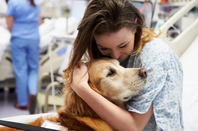  La compañía de un animal ayuda a pacientes con ACV a moverse más y participar en su rehabilitación