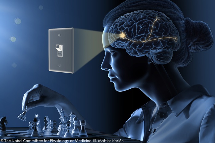  Nobel de Medicina 2026 reconoce a tres científicos por el control de neuronas mediante la luz